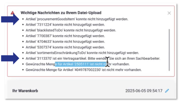SONE2025.09_CSV_Fehlermeldung.png